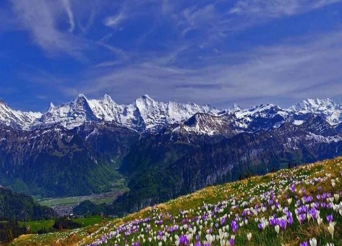 Дистанционная олимпиада «Мир вокруг нас: Горы «Лучше гор бывают, только горы»