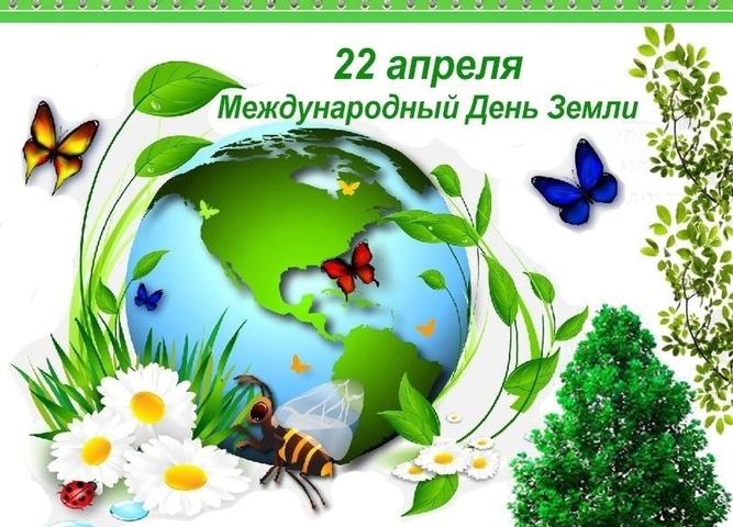 Итоги викторины «Сила Земли»